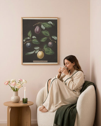 George Brookshaw - Pomona Britannica:  No. 17 - Plums - framed print in a styled room