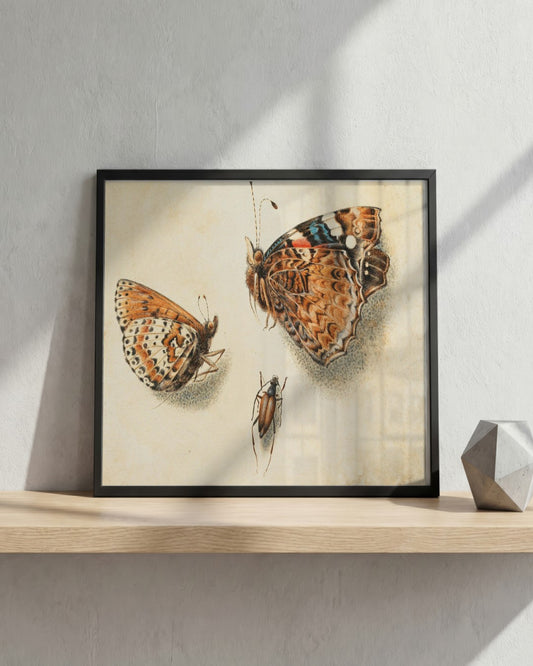 Giovanna Garzoni - Butterflies and a Beetle - framed print in a styled room