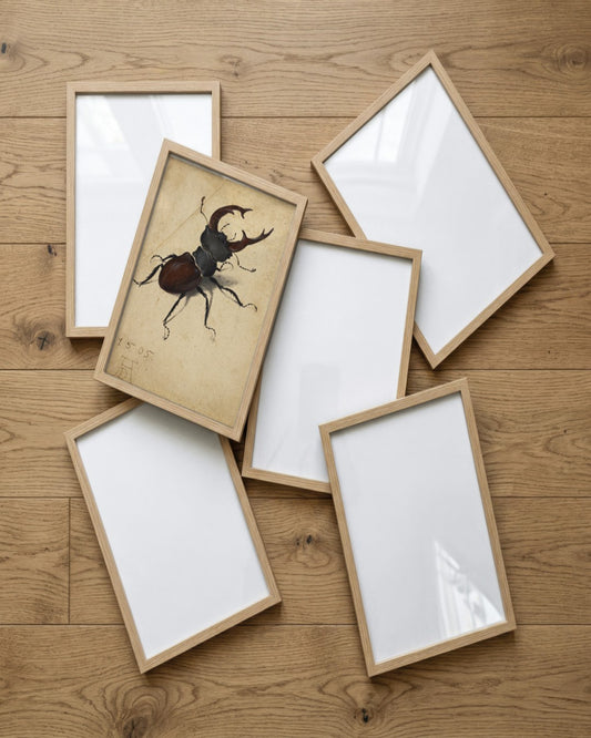 Albrecht Dürer - Stag Beetle - framed print in a styled room