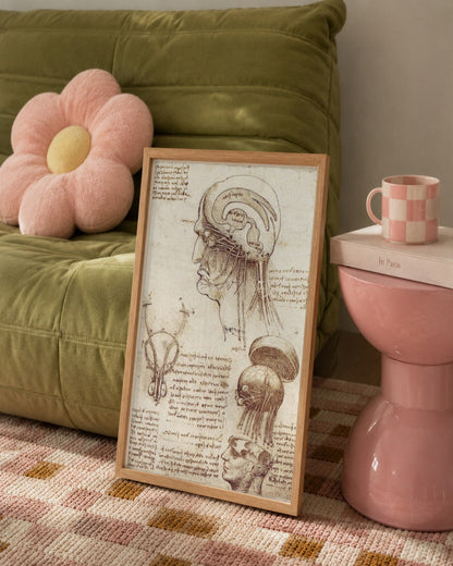 Leonardo da Vinci - Anatomical Study of the Head - framed print in a styled room