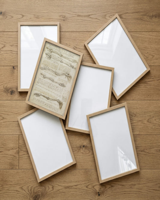 Leonardo da Vinci - Studies of the Arm Bones - framed print in a styled room