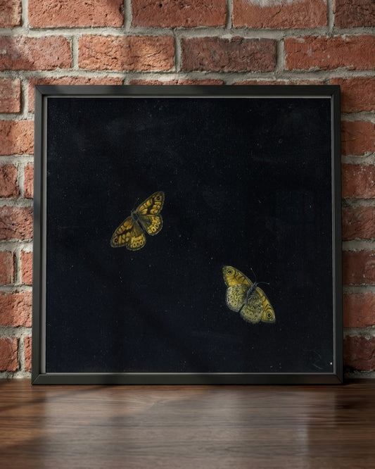 Giovanna Garzoni - Yellow Butterflies - framed print in a styled room
