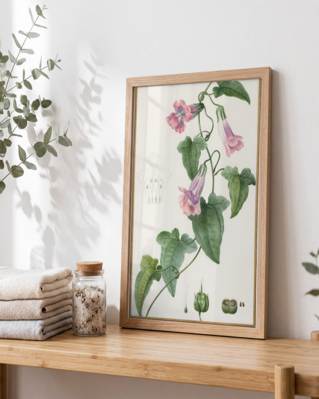 Pancrace Bessa - (Botanical: Maurándia semperflorens) - framed print in a styled room