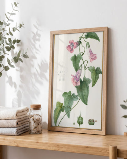 Pancrace Bessa - (Botanical: Maurándia semperflorens) - framed print in a styled room