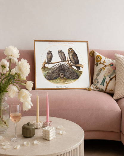 Renaissance Masters - Renaissance Masterpiece No. 355 - framed print in a styled room