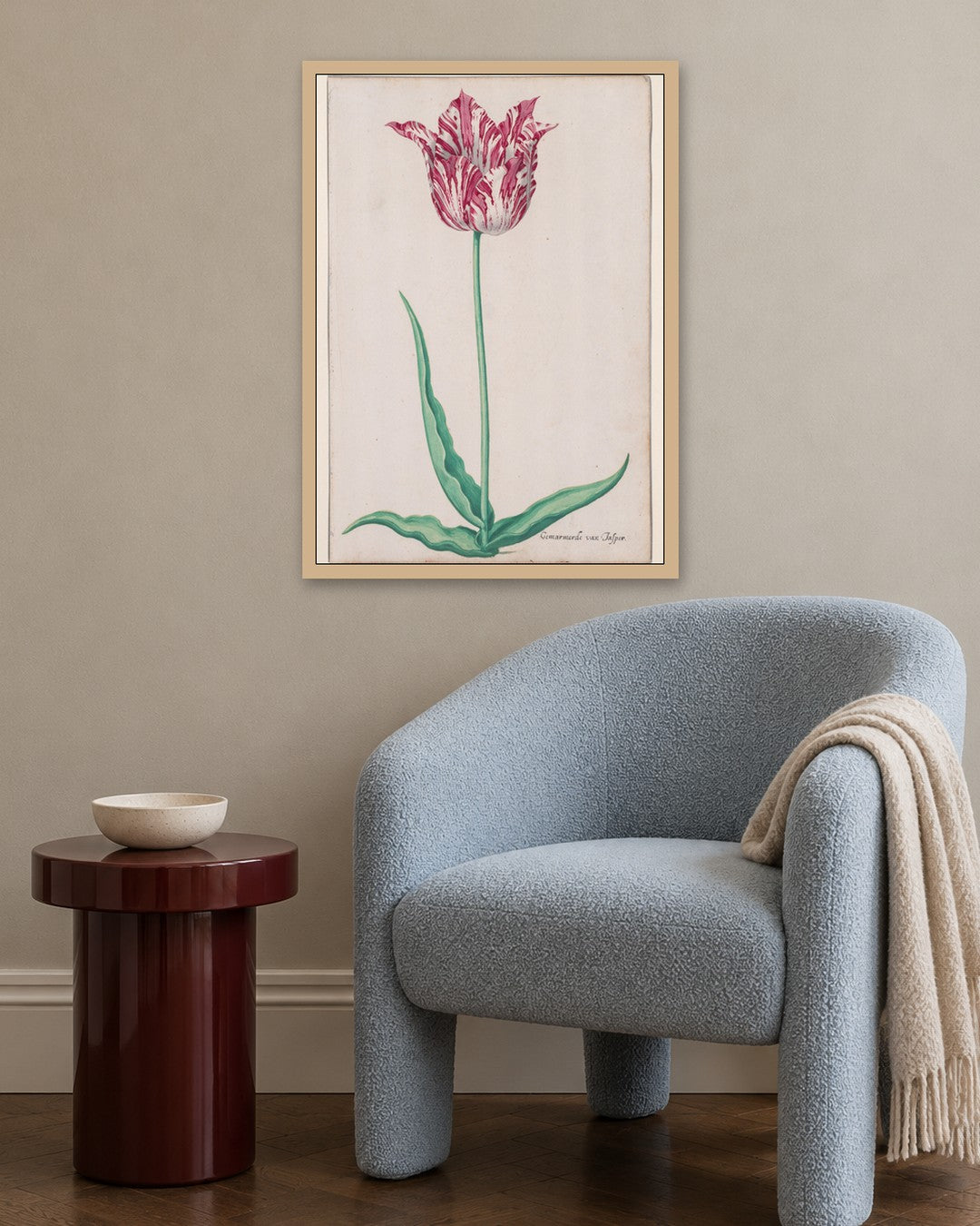 Pieter Holsteyn II - Study of a Tulip (Gemarmerde van Jasper) - oak frame in a room