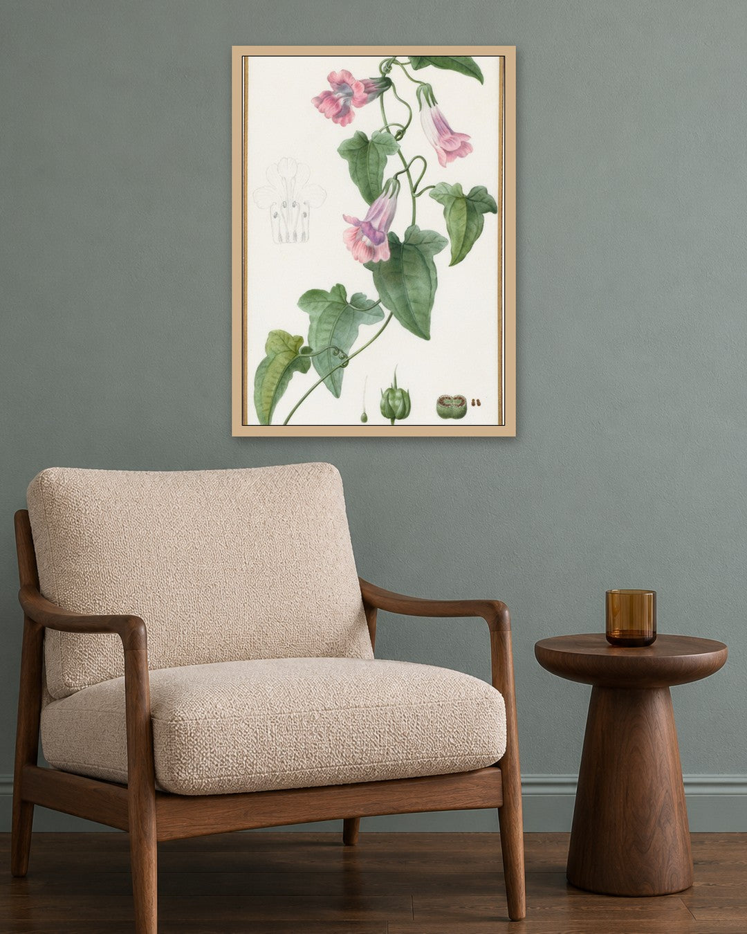 Pancrace Bessa - (Botanical: Maurándia semperflorens) - oak frame in a room