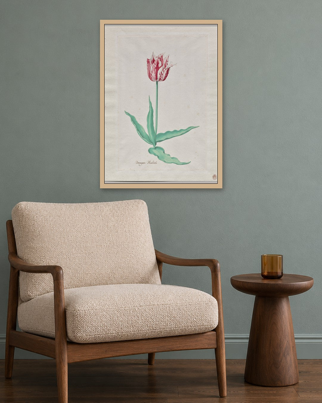 Pieter Holsteyn II - Study of a Tulip (Perregoen Machieu) - oak frame in a room