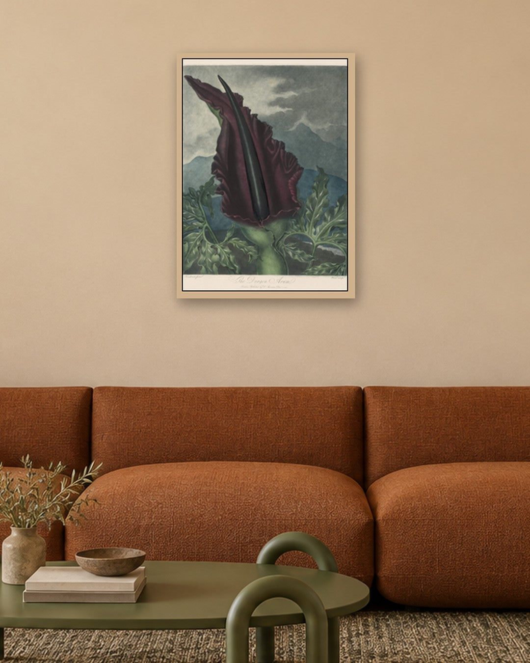 Robert John Thornton - The Dragon Arum, Black Calla or Solomon's Lily - oak frame in a room
