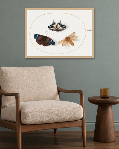 Renaissance Masters - Renaissance Masterpiece No. 347 - oak frame in a room