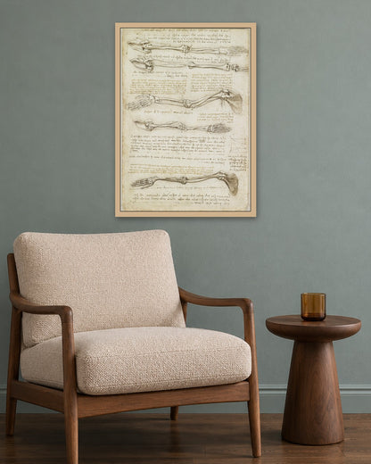 Leonardo da Vinci - Studies of the Arm Bones - oak frame in a room