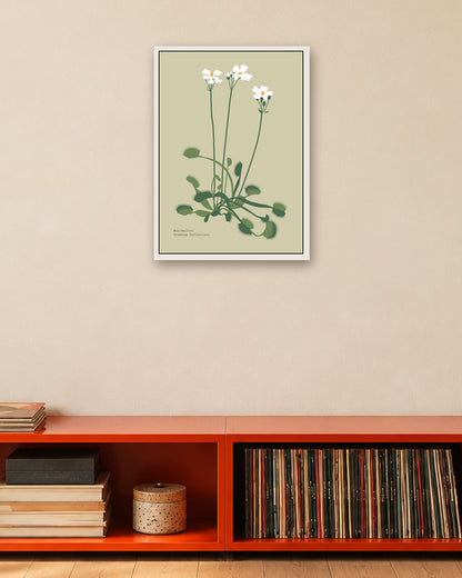 SENT Studio - Botanical Poster No. 45 - white frame in a room