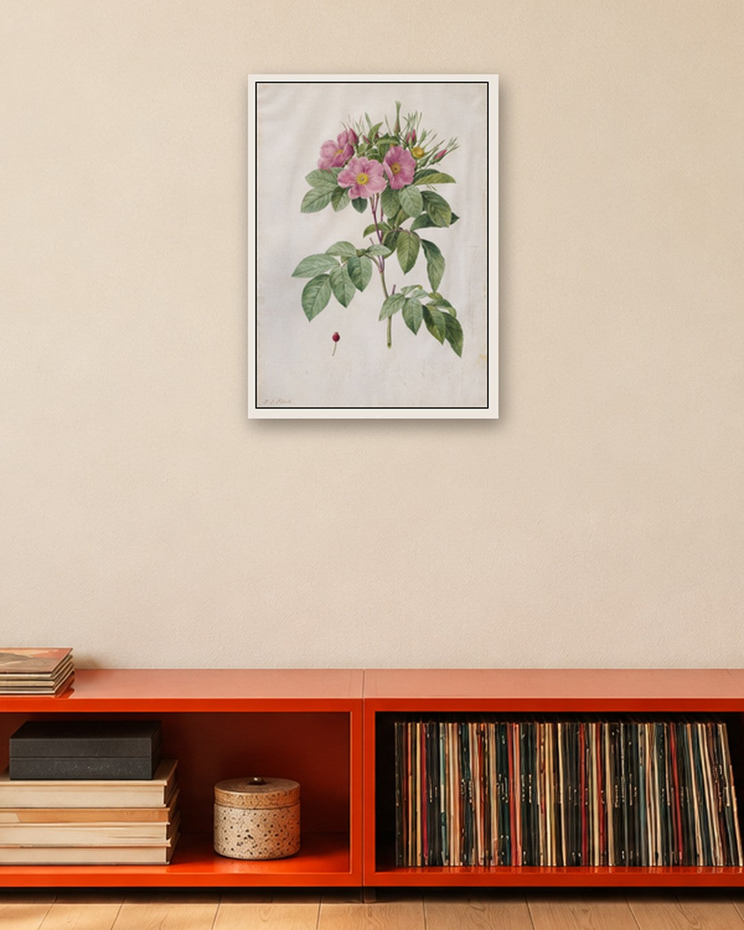 Pierre-Joseph Redouté - Pasture Rose (Rosa Carolina Corymbosa) - white frame in a room