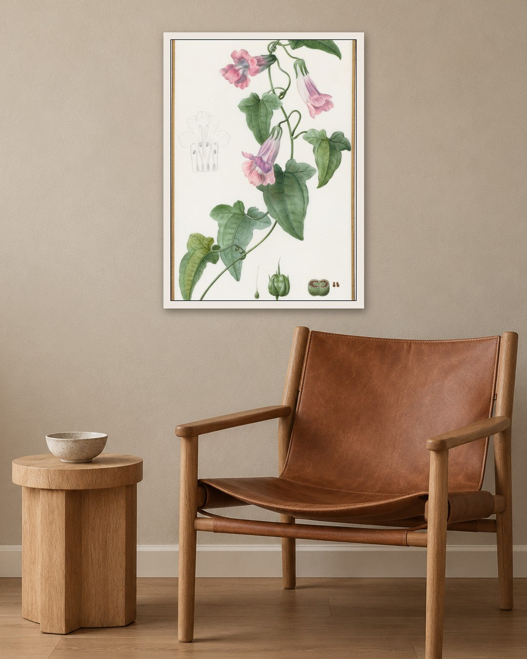 Pancrace Bessa - (Botanical: Maurándia semperflorens) - white frame in a room