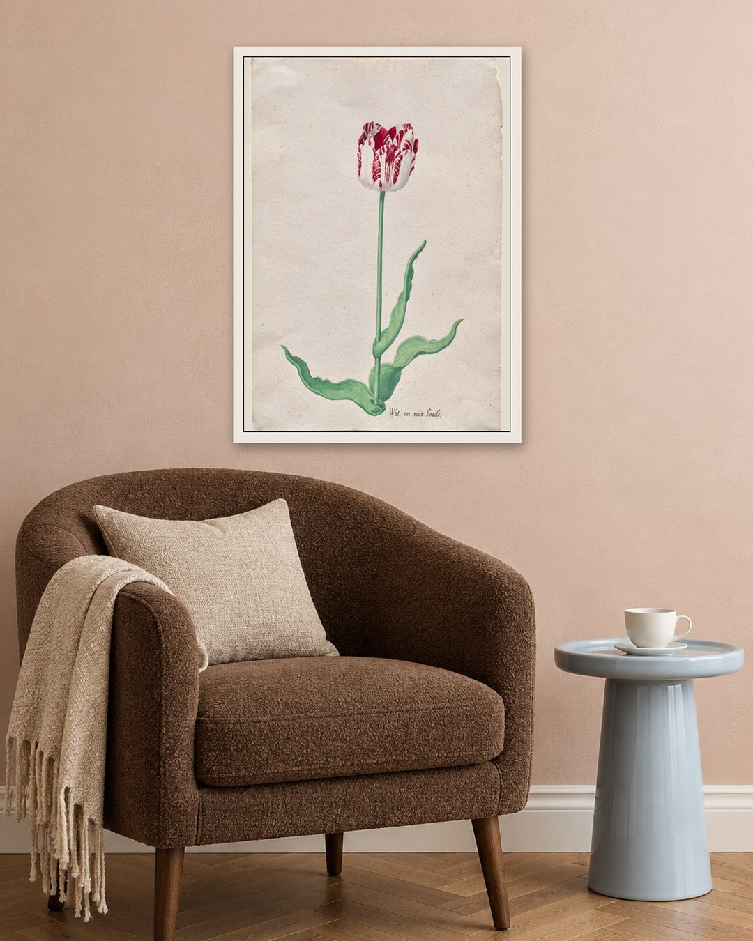 Pieter Holsteyn II - Study of a Tulip (Wit en root boode) - white frame in a room