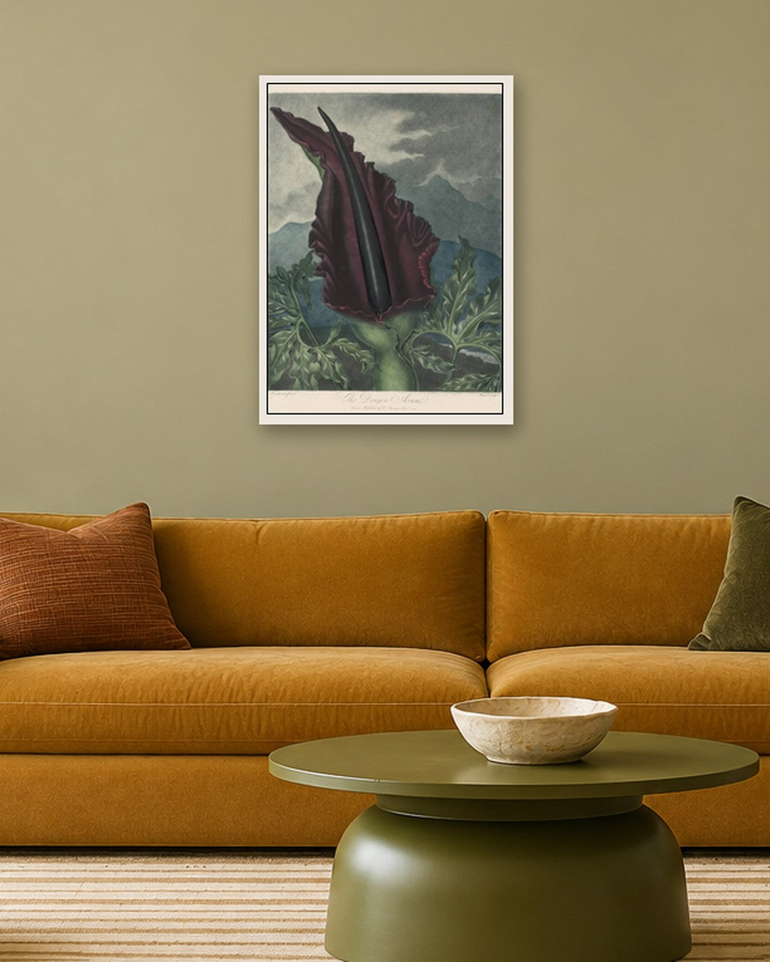 Robert John Thornton - The Dragon Arum, Black Calla or Solomon's Lily - white frame in a room