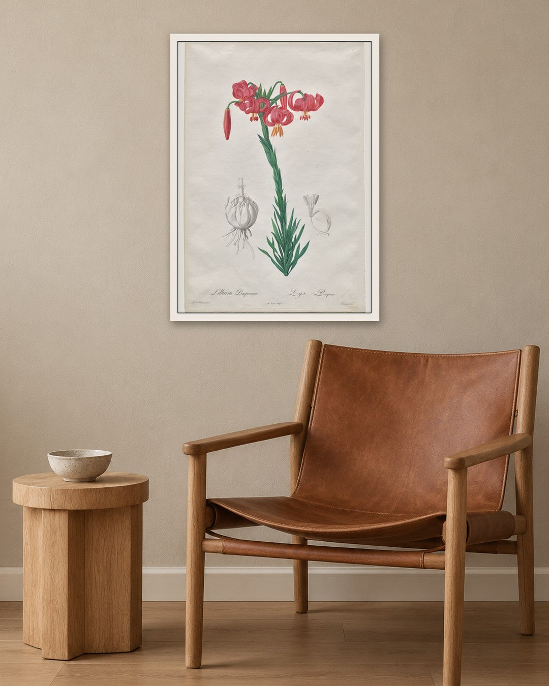 De Gouy - Lillium Pomponium (Turban Lily), plate 7 from Les Liliacées - white frame in a room