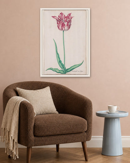 Pieter Holsteyn II - Study of a Tulip (Gemarmerde van Jasper) - white frame in a room