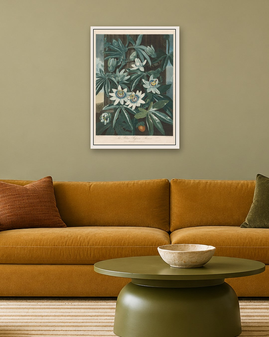 Robert John Thornton - The Blue Passion-flower - white frame in a room