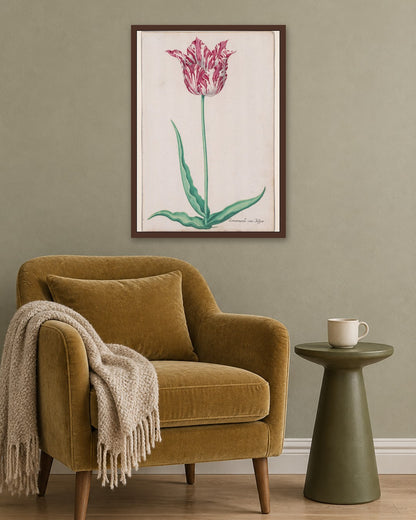 Pieter Holsteyn II - Study of a Tulip (Gemarmerde van Jasper) - dark oak frame in a room