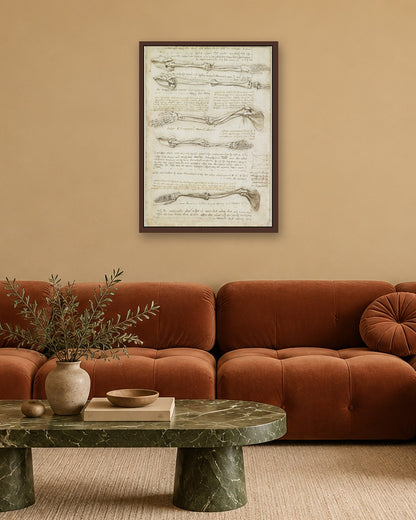Leonardo da Vinci - Studies of the Arm Bones - dark oak frame in a room