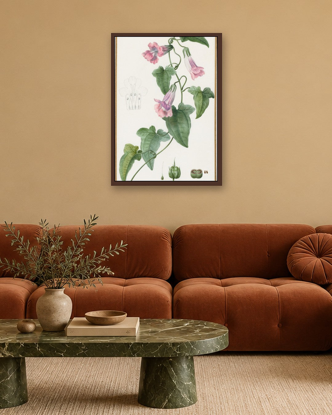 Pancrace Bessa - (Botanical: Maurándia semperflorens) - dark oak frame in a room