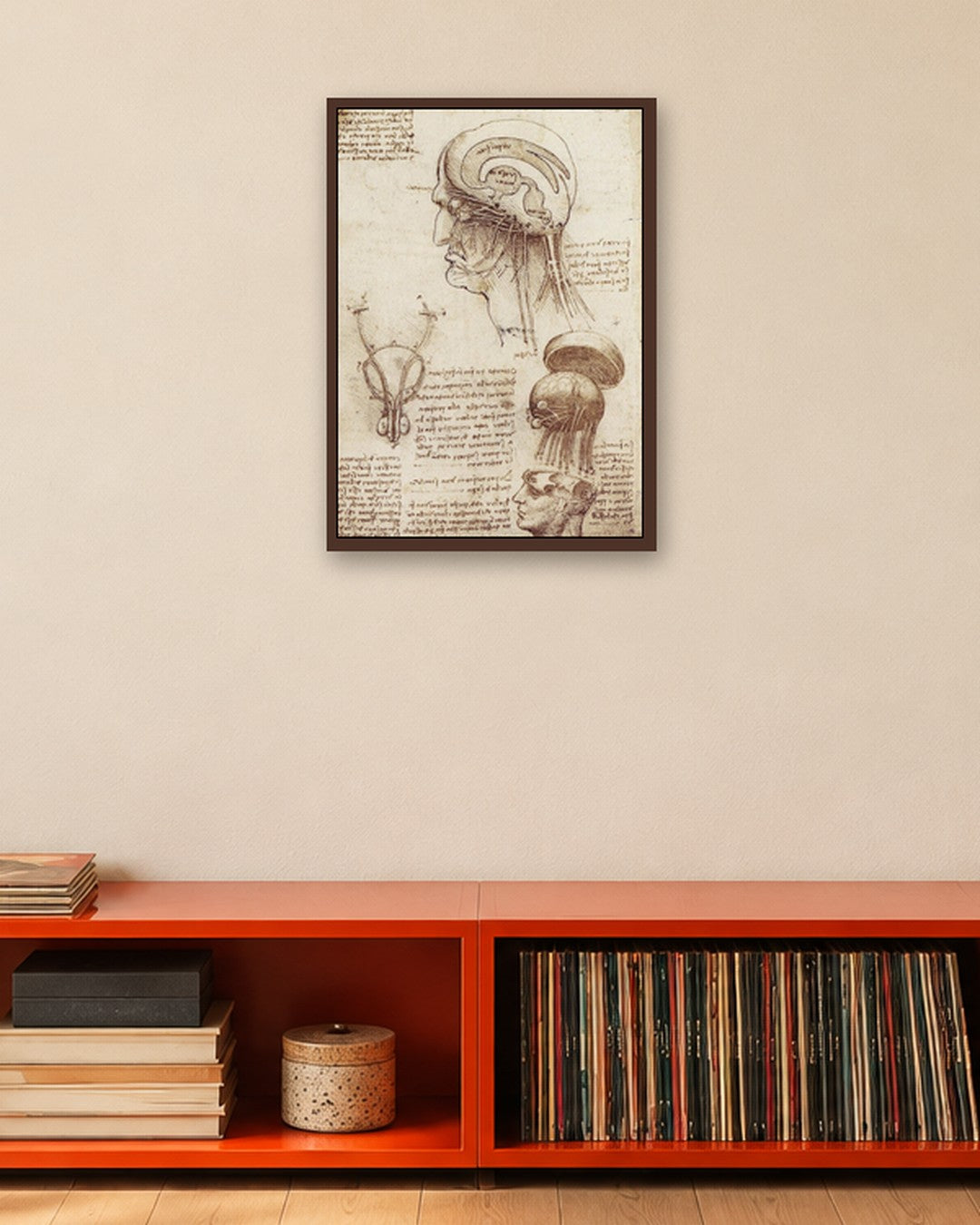 Leonardo da Vinci - Anatomical Study of the Head - dark oak frame in a room