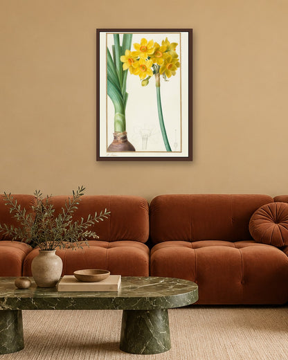 Pancrace Bessa - Polyanthus or Cluster Narcissus (Botanical: Narcissus tazetta) - dark oak frame in a room