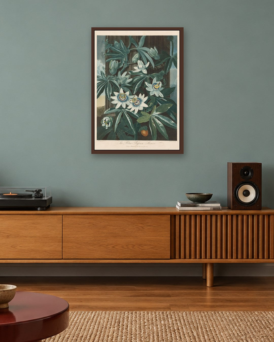 Robert John Thornton - The Blue Passion-flower - dark oak frame in a room