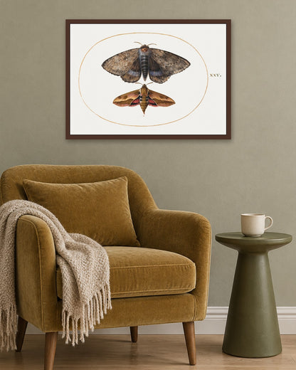 Renaissance Masters - Renaissance Masterpiece No. 349 - dark oak frame in a room