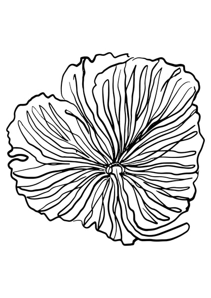 SENT Studio - Blooming Flowers Poster No. 30