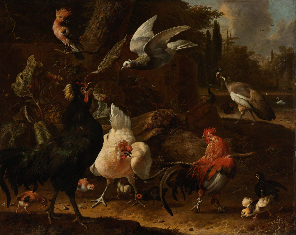 Melchior d'Hondecoeter — Fine Art Print No. 3