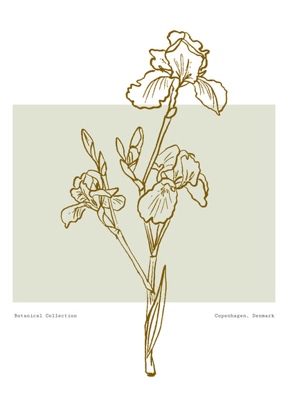 SENT Studio - Blooming Flowers Poster No. 54