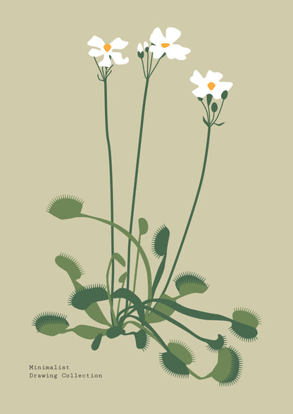 SENT Studio - Botanical Poster No. 45