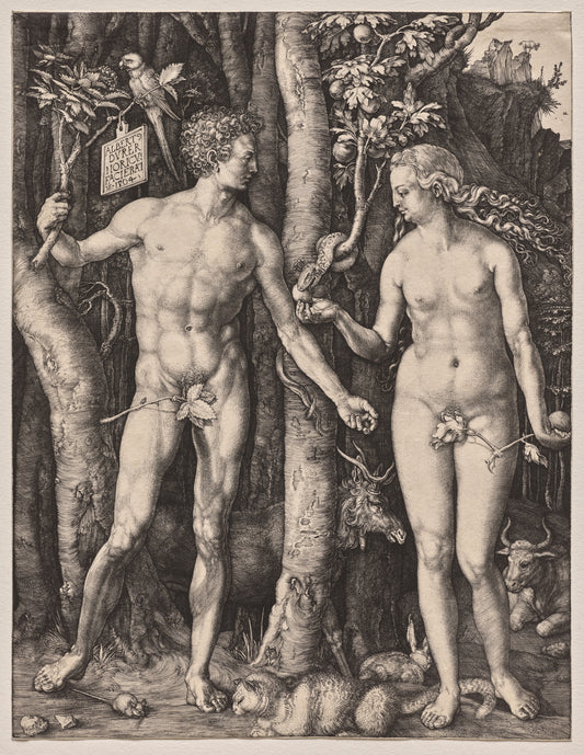 Albrecht Dürer — Fine Art Print No. 3
