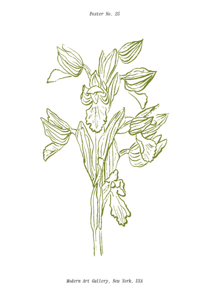 SENT Studio - Blooming Flowers Poster No. 25
