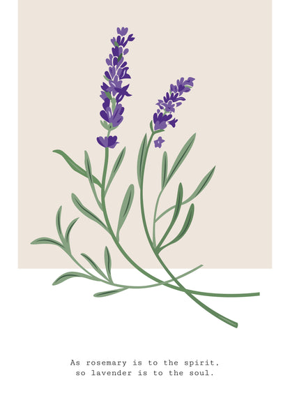 SENT Studio - Botanical Poster No. 1