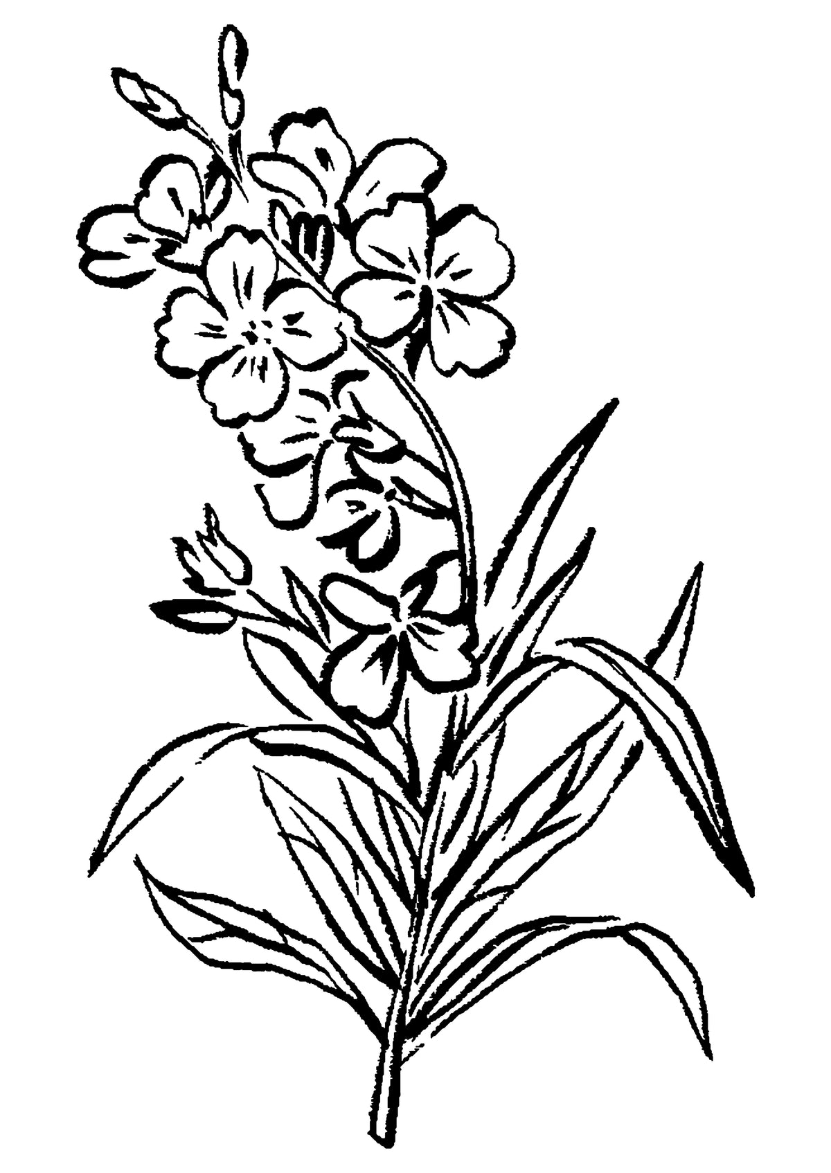 SENT Studio - Blooming Flowers Poster No. 1