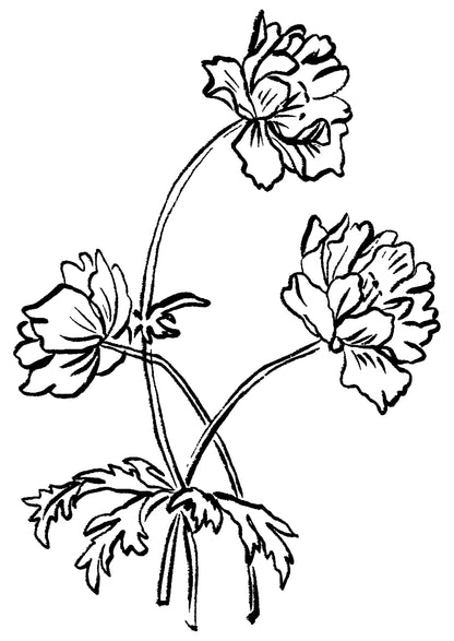 SENT Studio - Blooming Flowers Poster No. 10