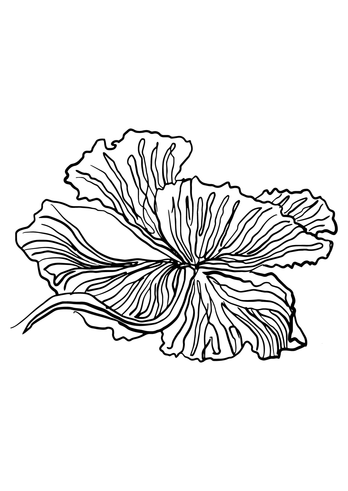 SENT Studio - Blooming Flowers Poster No. 23