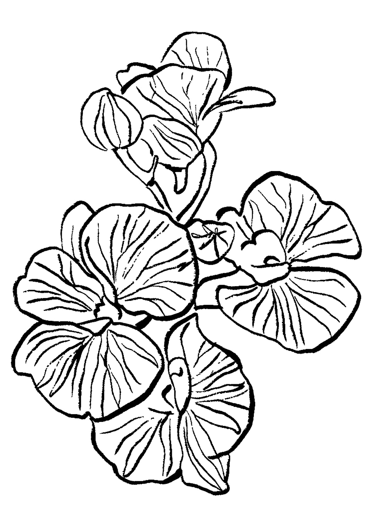 SENT Studio - Blooming Flowers Poster No. 8