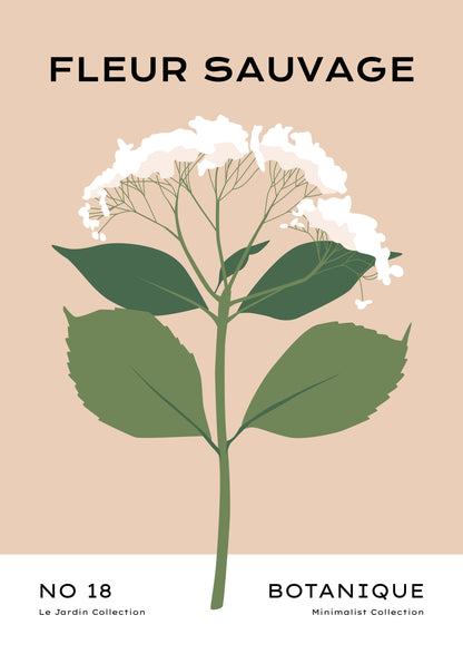 SENT Studio - Botanical Poster No. 36