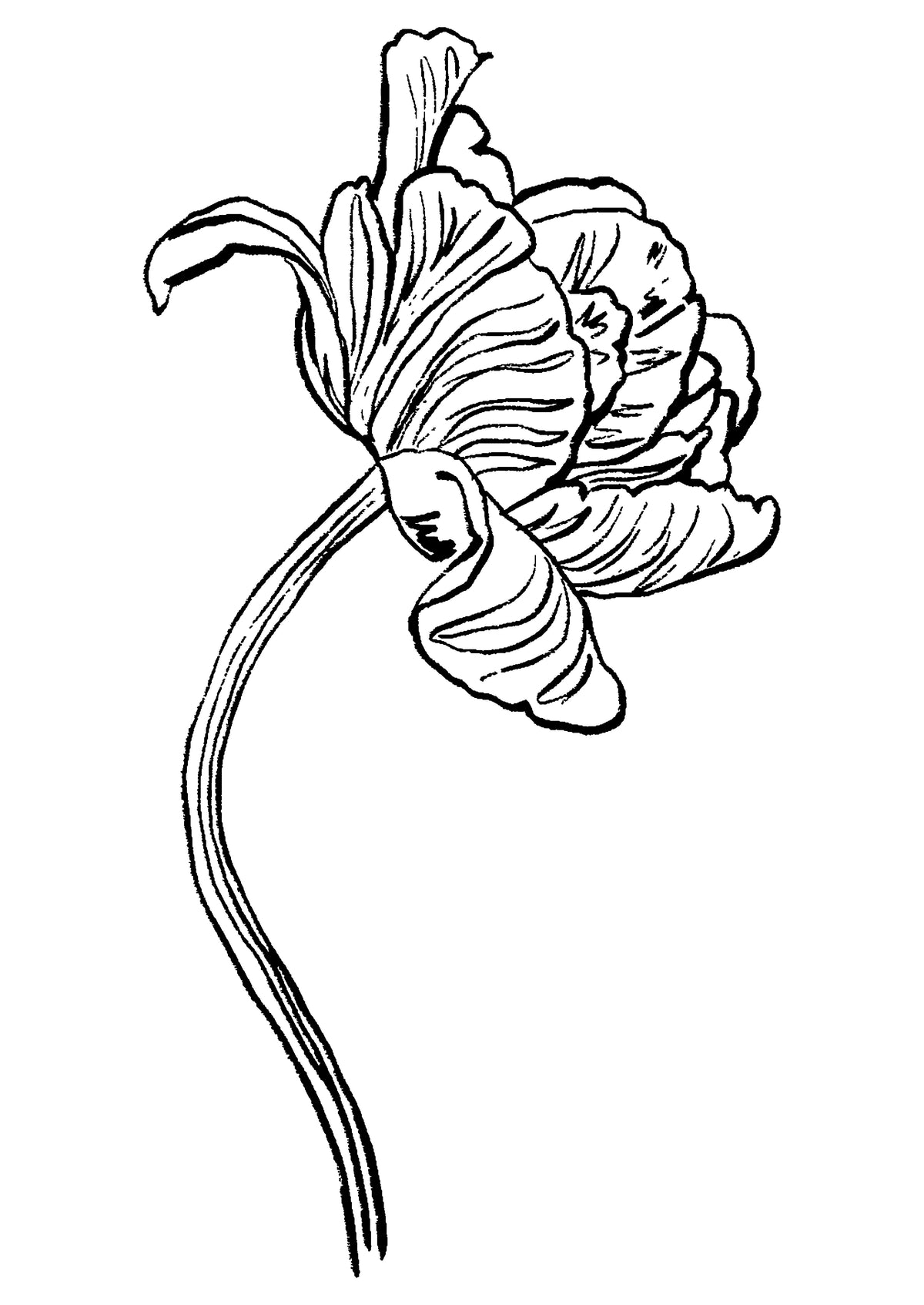 SENT Studio - Blooming Flowers Poster No. 33