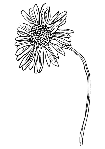 SENT Studio - Blooming Flowers Poster No. 6