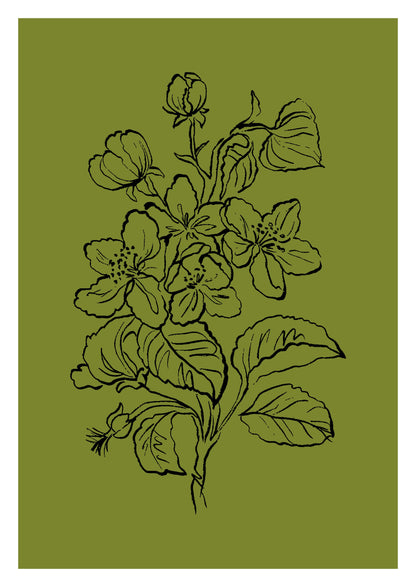 SENT Studio - Blooming Flowers Poster No. 24