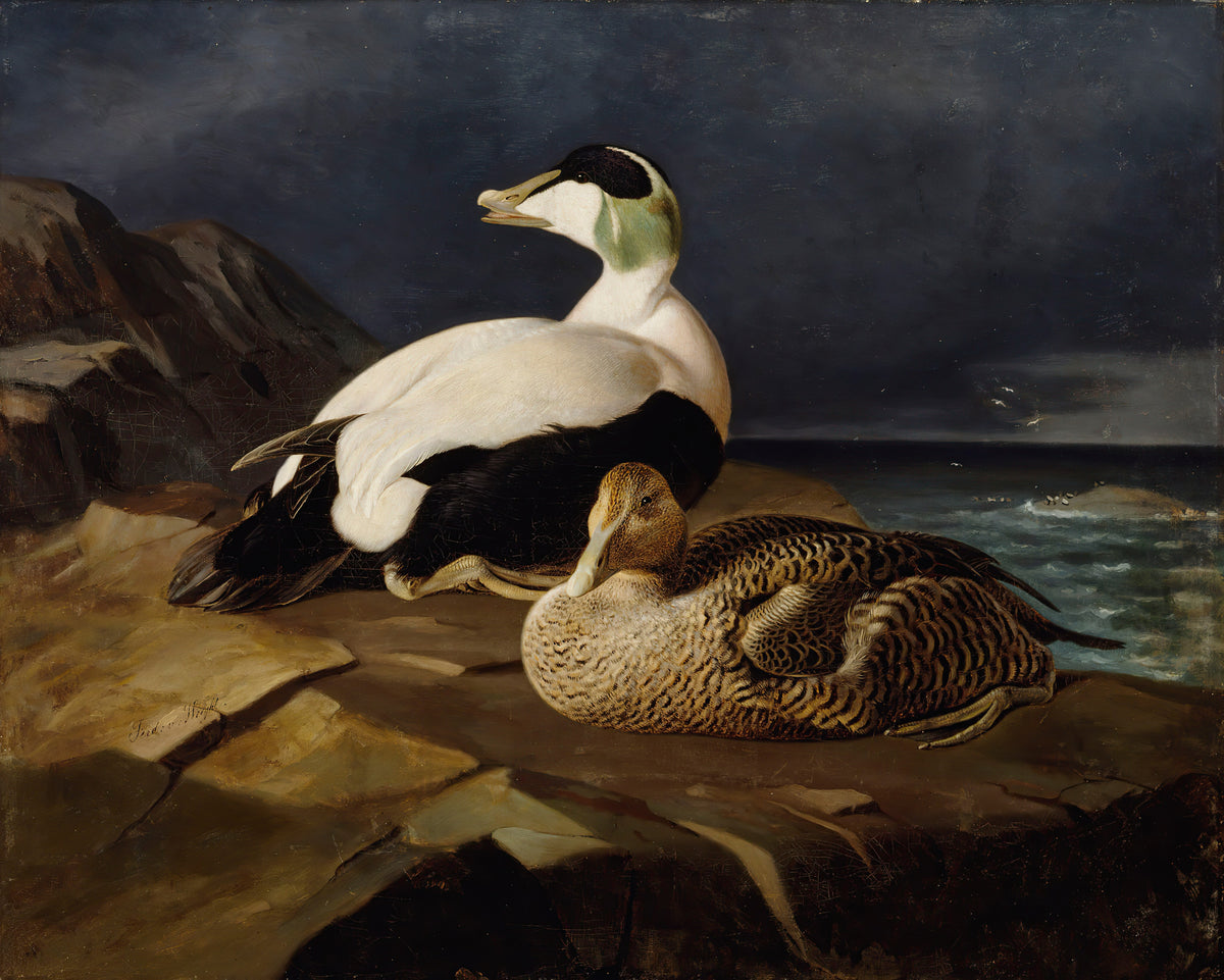 Ferdinand von Wright — Fine Art Print No. 3