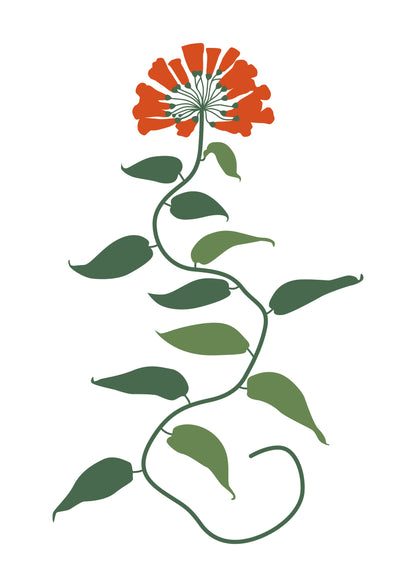 SENT Studio - Botanical Poster No. 51