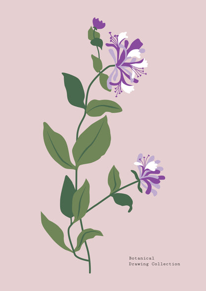 SENT Studio - Botanical Poster No. 25