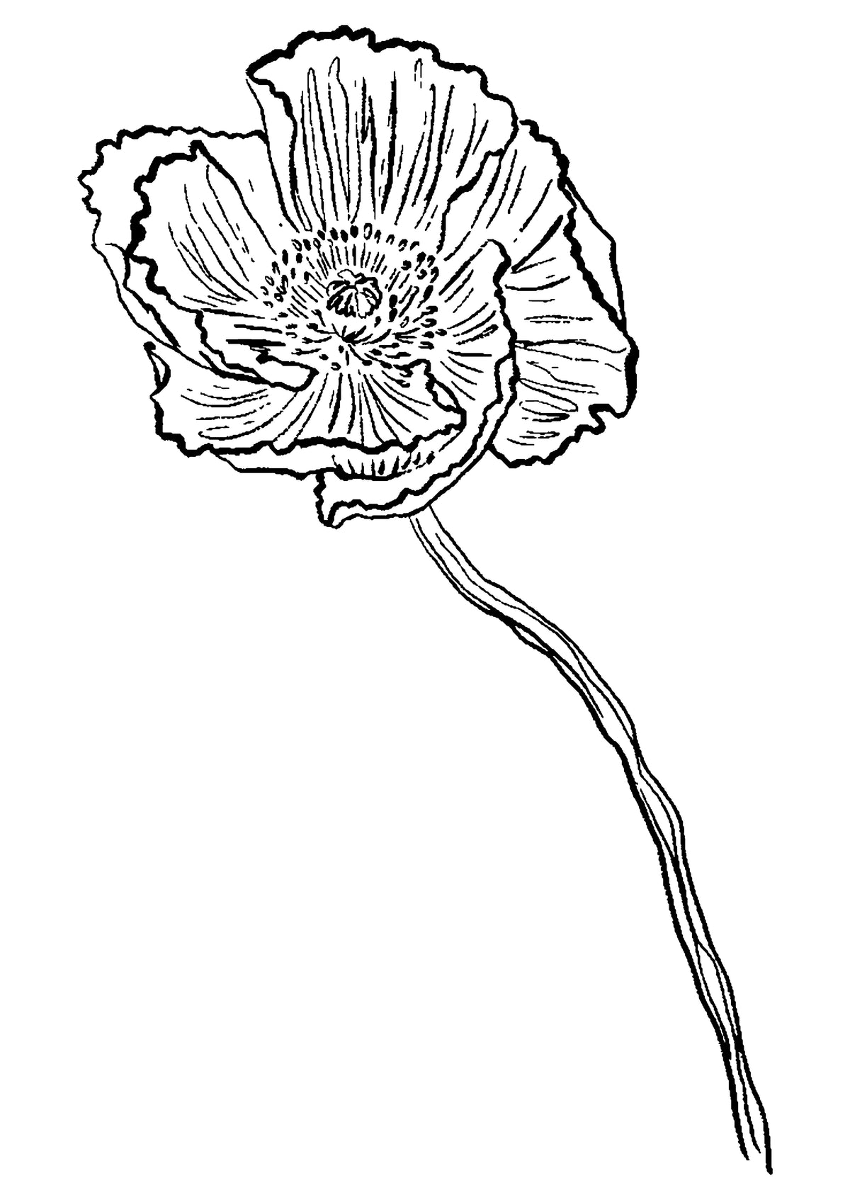 SENT Studio - Blooming Flowers Poster No. 32