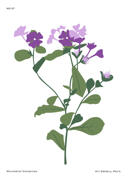 SENT Studio - Botanical Poster No. 17